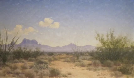 Sunland Landscape